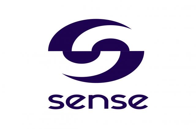 Sense Space Informatics P.C.